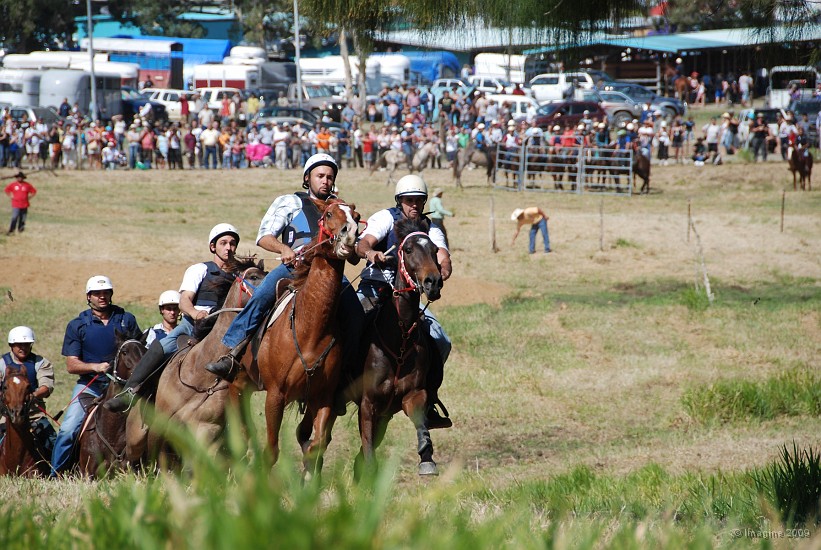 16- Course hippique.JPG